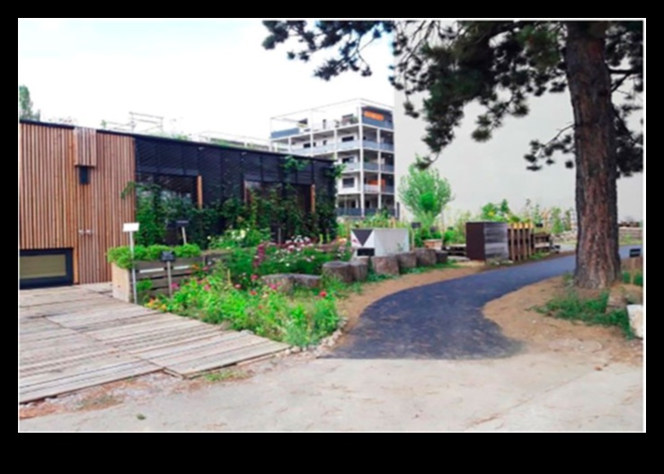 City Park Planks: Υπαίθριες Προπονήσεις σε Μητροπολιτικούς Χώρους Πρασίνου