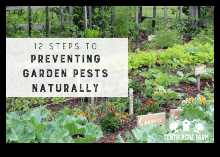 Μάχη Blossom: Winning Against Troublesome Garden Pests