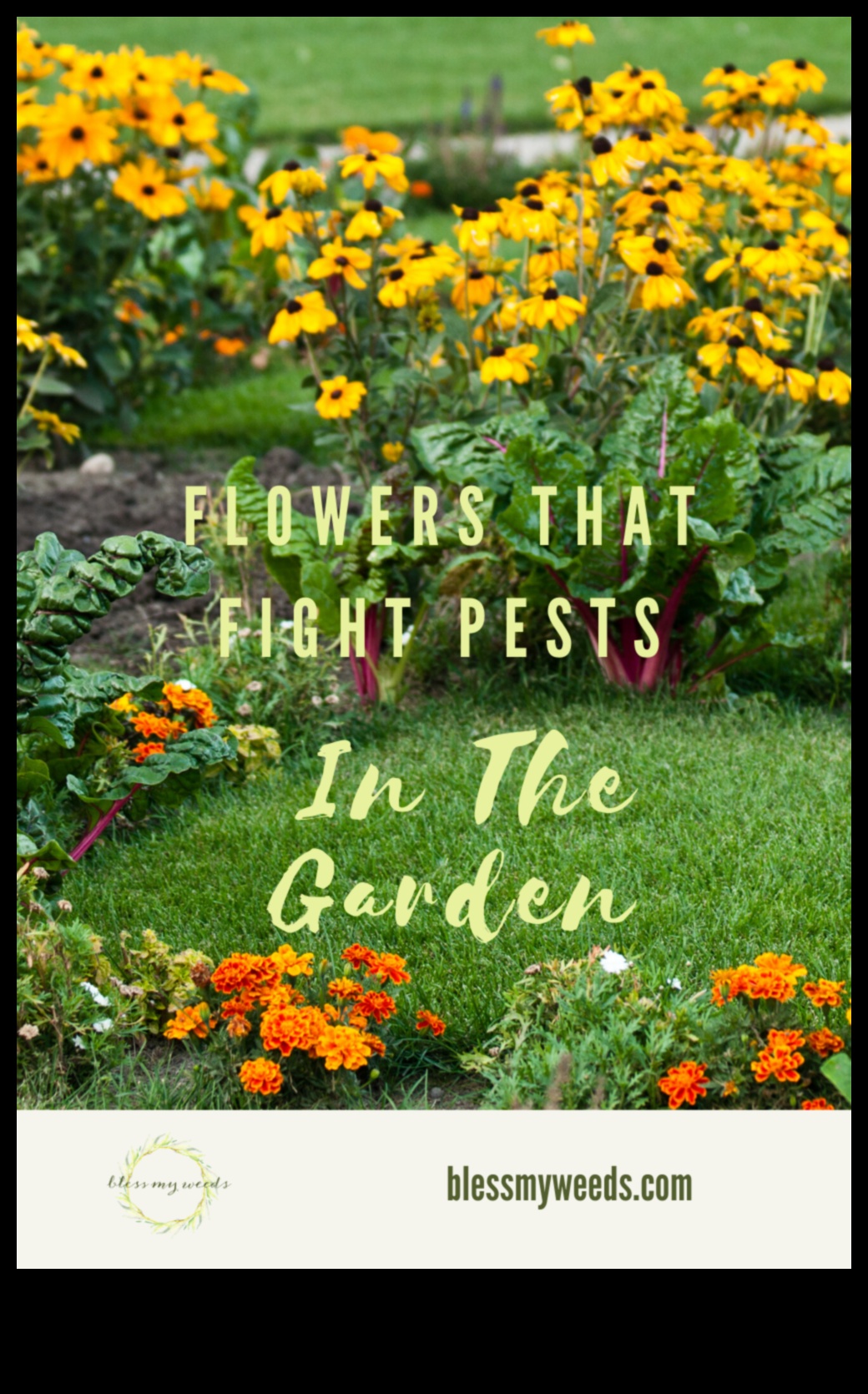 Μάχη Blossom: Winning Against Troublesome Garden Pests