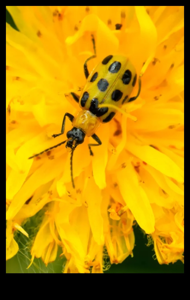 Μάχη Blossom: Winning Against Troublesome Garden Pests