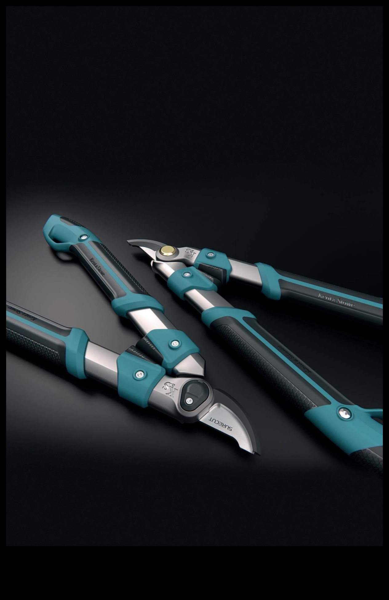 Garden Glee: Essential Tools for Blooms and Beauty