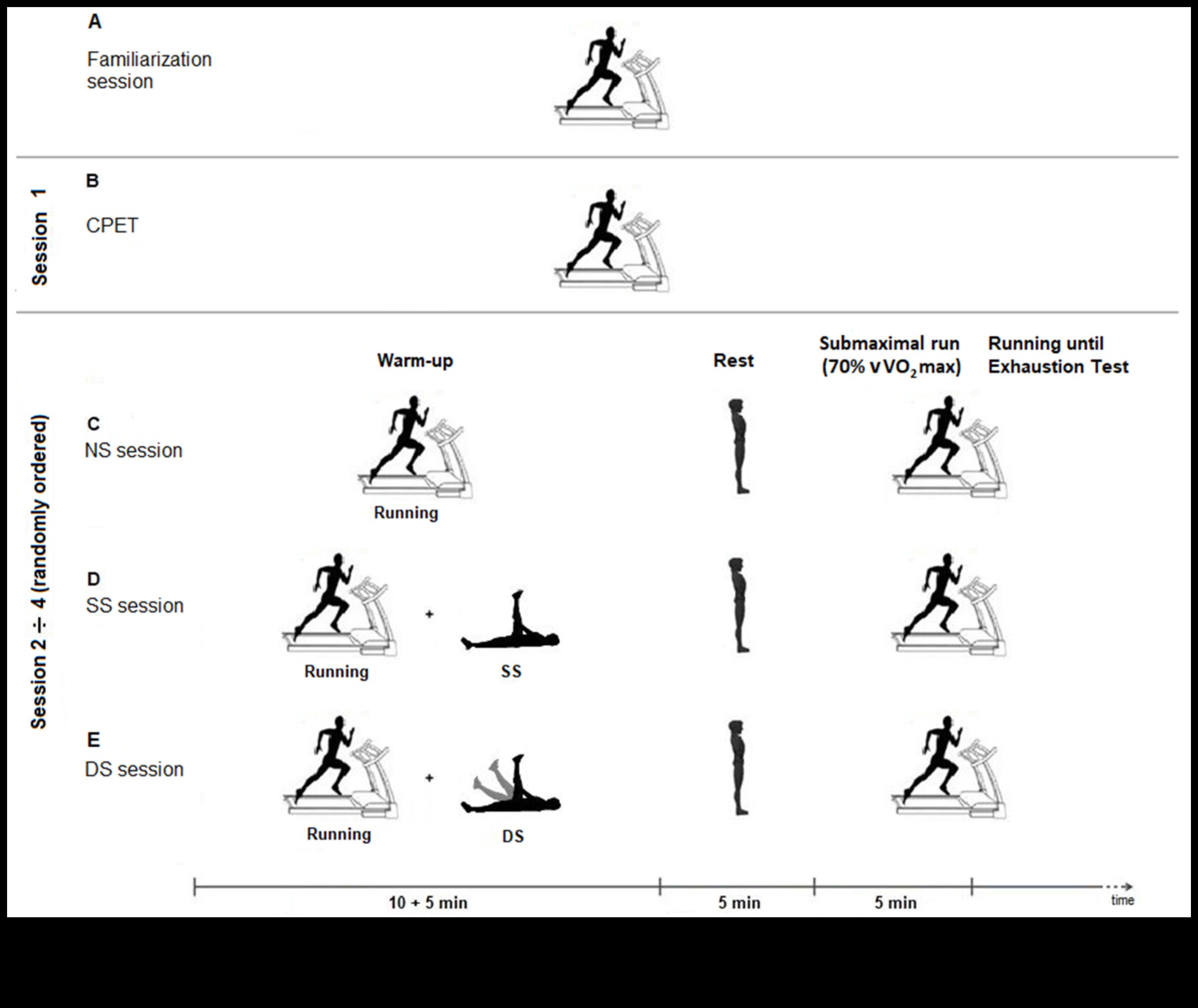 Mobility Matrix: Multi-directional Movements for a Dynamic Warm-Up