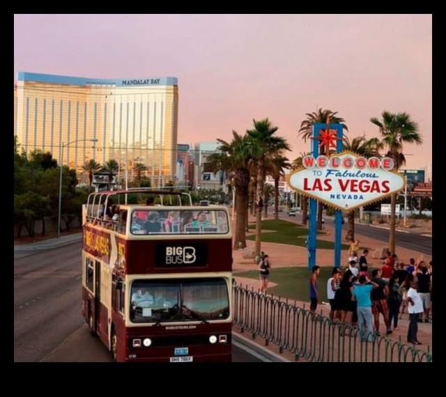 Rolling Rambles: Your Ultimate Bus Tour Guide