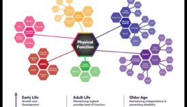 Ageless Agility: Διατήρηση ευελιξίας και κινητικότητας μέσω της άσκησης