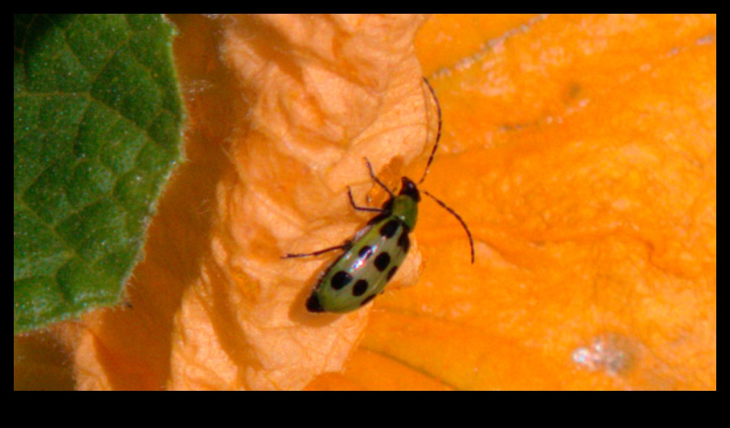 Μάχη Blossom: Winning Against Troublesome Garden Pests