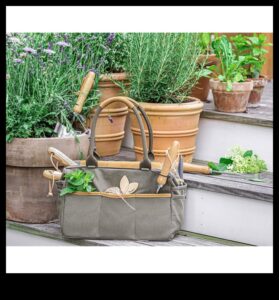 Garden Glee: Essential Tools for Blooms and Beauty