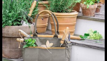 Garden Glee: Essential Tools for Blooms and Beauty