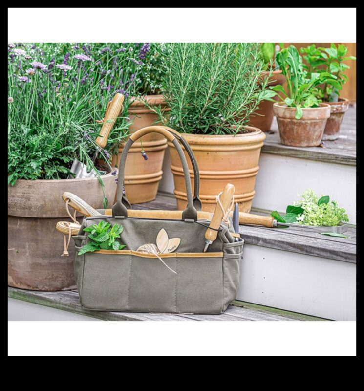 Garden Glee: Essential Tools for Blooms and Beauty