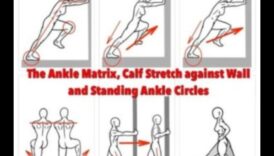 Mobility Matrix: Multi-directional Movements for a Dynamic Warm-Up
