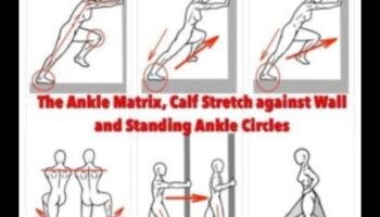 Mobility Matrix: Multi-directional Movements for a Dynamic Warm-Up