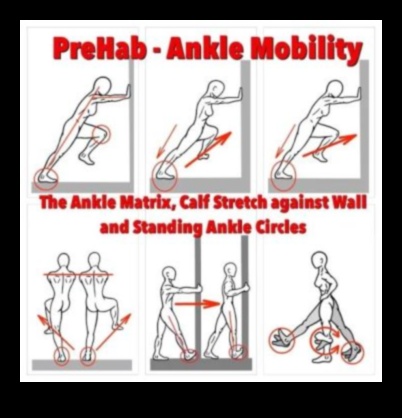 Mobility Matrix: Multi-directional Movements for a Dynamic Warm-Up