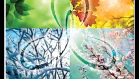 Roaming Revelations: A Traveler's Path to Self-Dicovery