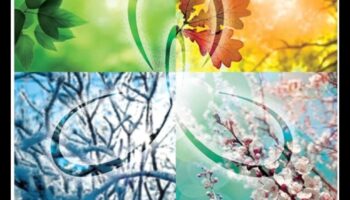 Roaming Revelations: A Traveler's Path to Self-Dicovery