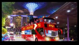 Rolling Rambles: Your Ultimate Bus Tour Guide