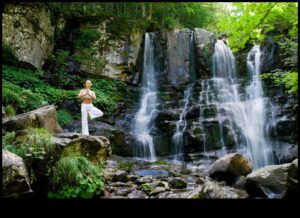 The Present Pause: Finding Stillness in a Busy World