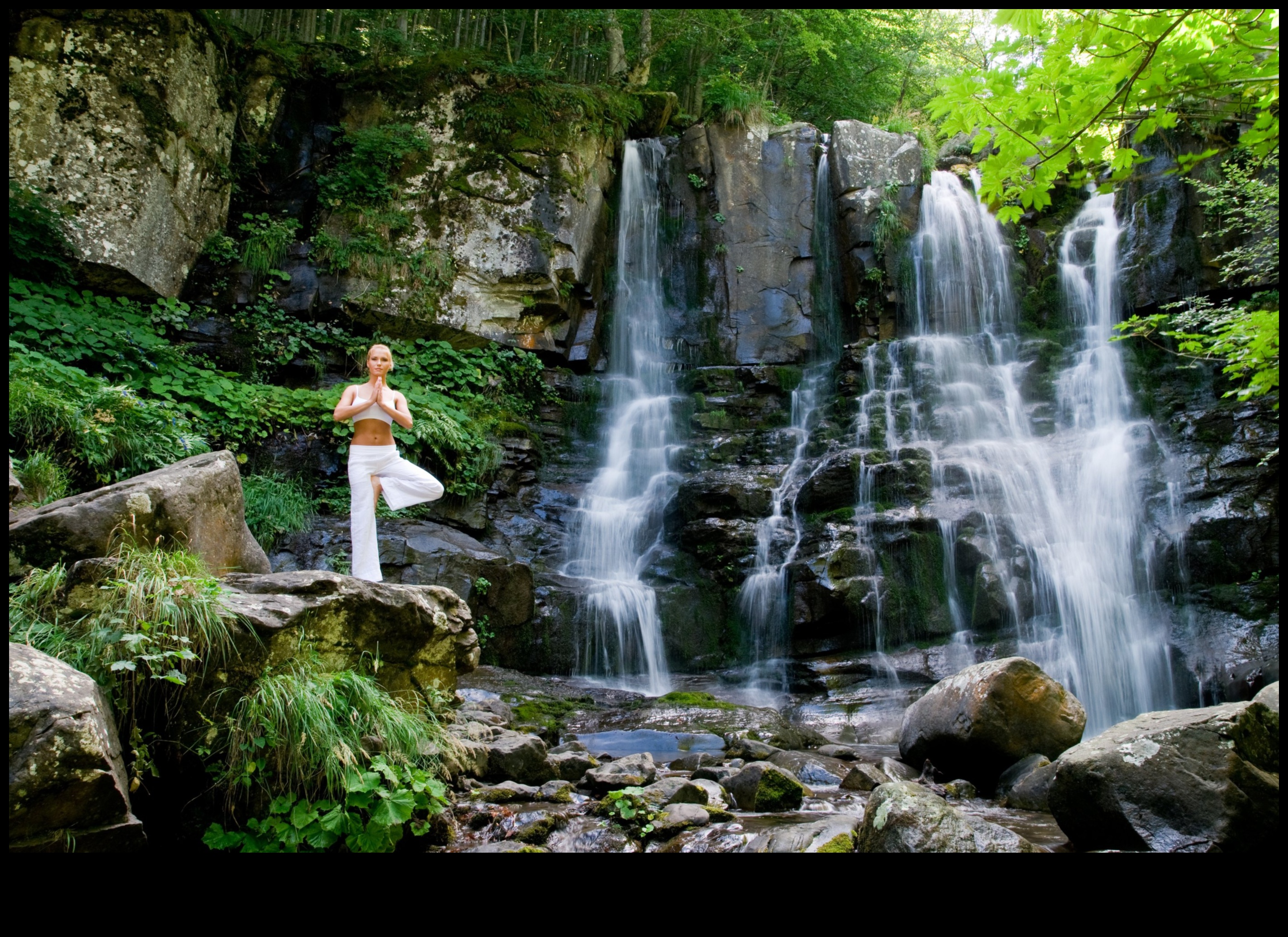 The Present Pause: Finding Stillness in a Busy World