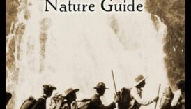 Trailblazer Tales: Your Ultimate Adventure Guide