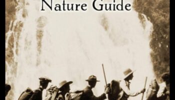 Trailblazer Tales: Your Ultimate Adventure Guide