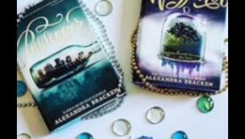 Wayfarer's Wisdom: A Library of Travel Insights