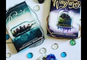 Wayfarer's Wisdom: A Library of Travel Insights