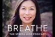 Breathe Easy: Μια προσέγγιση με επίκεντρο την αναπνοή για την καλλιέργεια σοφίας ανακούφισης από το άγχος