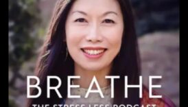 Breathe Easy: Μια προσέγγιση με επίκεντρο την αναπνοή για την καλλιέργεια σοφίας ανακούφισης από το άγχος