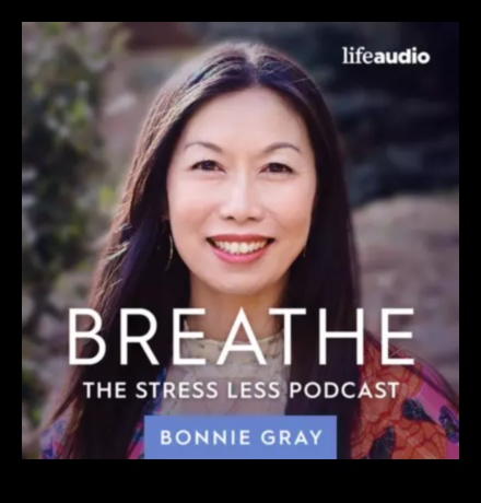 Breathe Easy: Μια προσέγγιση με επίκεντρο την αναπνοή για την καλλιέργεια σοφίας ανακούφισης από το άγχος
