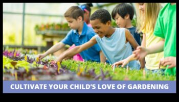 Budding Scholars: The Wonders of Garden Education