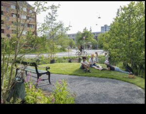 City Park Planks: Υπαίθριες Προπονήσεις σε Μητροπολιτικούς Χώρους Πρασίνου